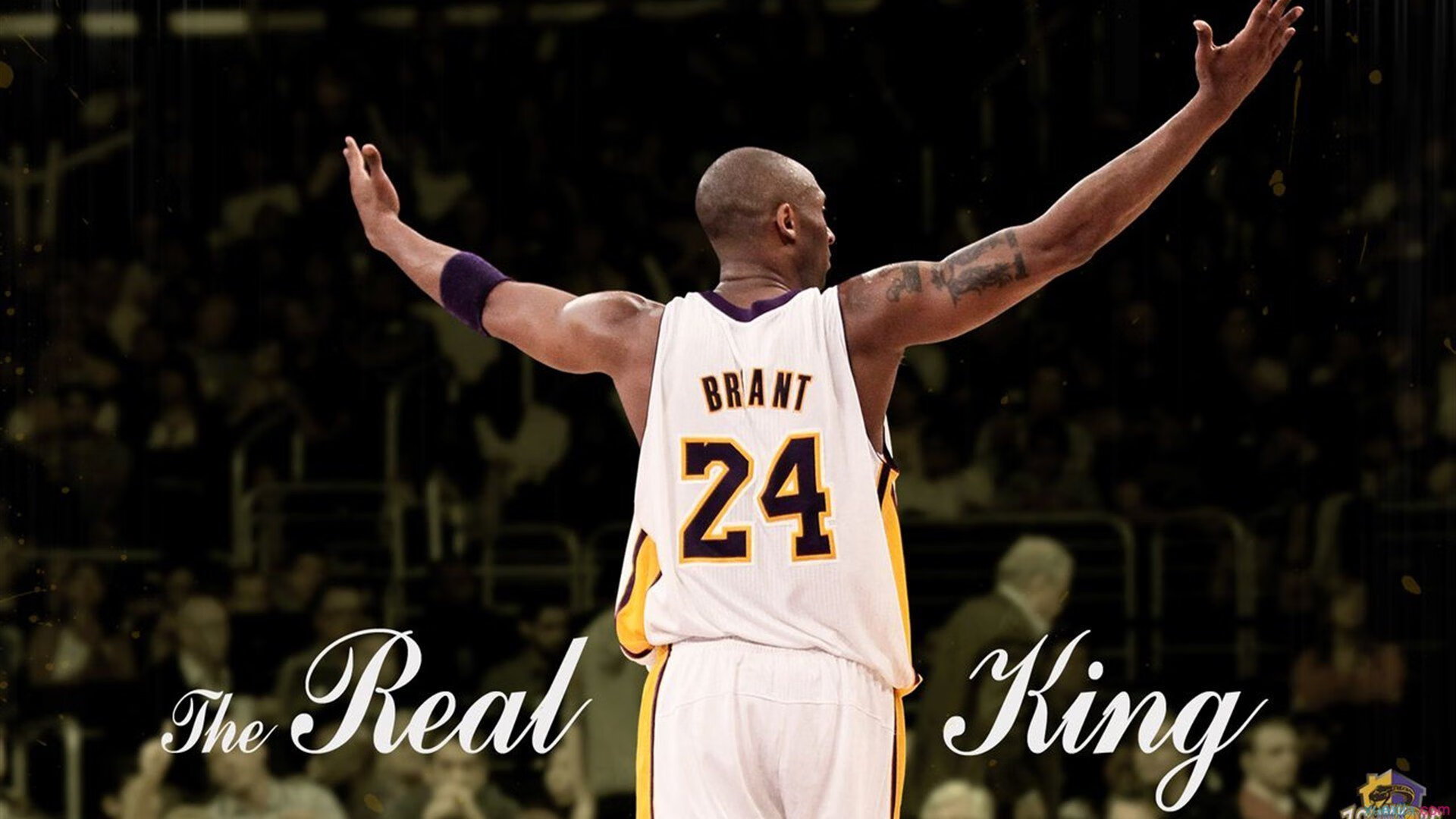 逆流中的独白，当日本碾压中国成为幻象，坎特为何惊艳四座？